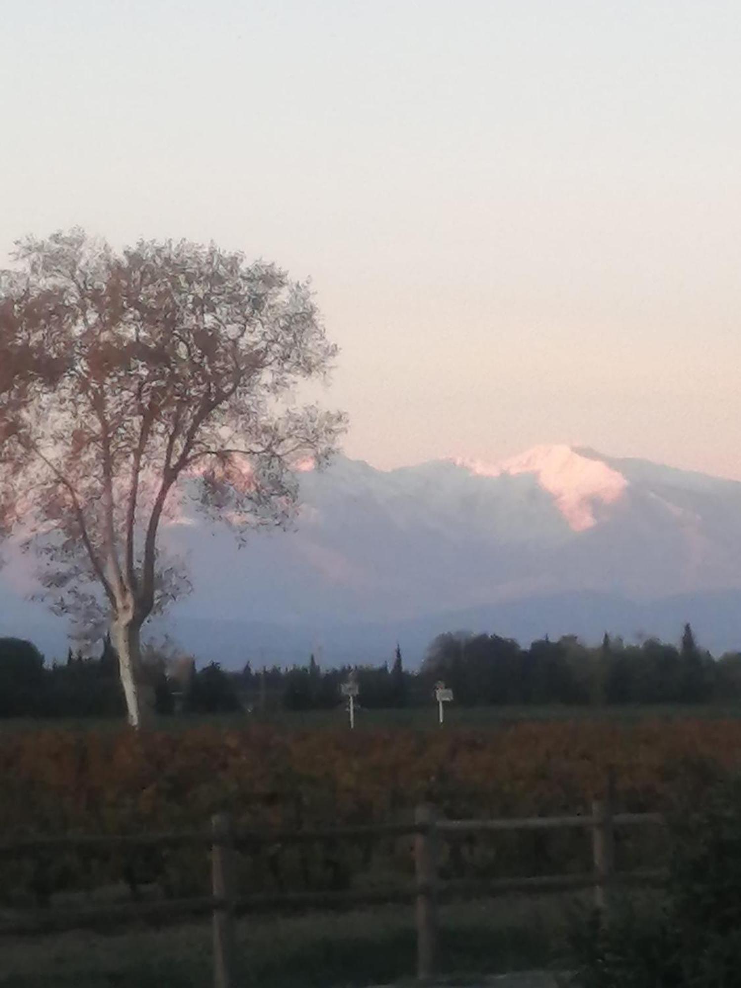 Appart Entre Mer Et Montagne, Linges Inclus Alénya Dış mekan fotoğraf